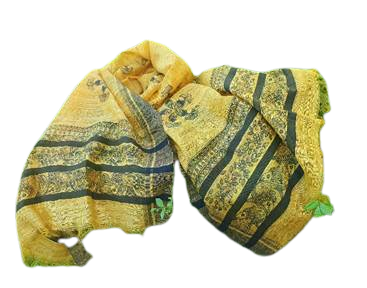 Mithila Madhubani Hand Painting Dupatta